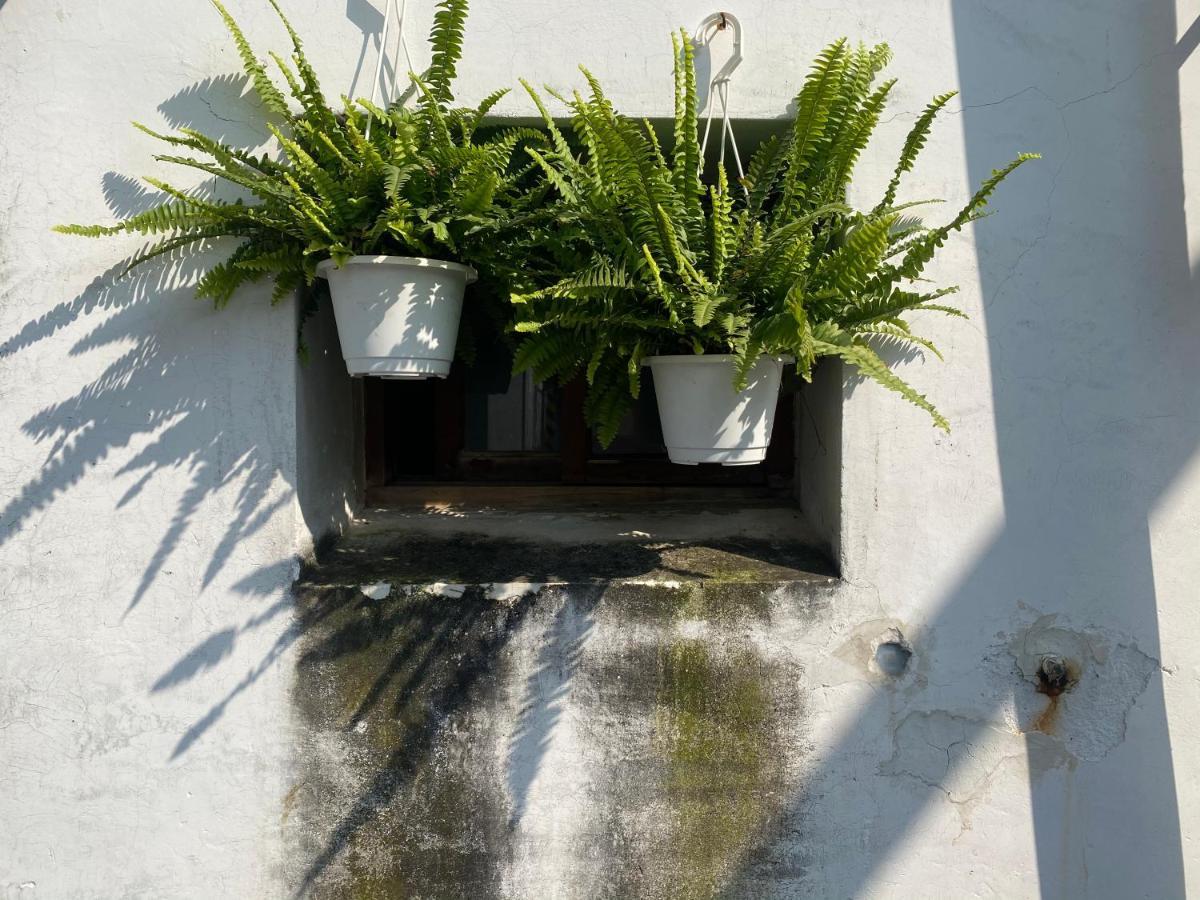 緩緩歸 Slow Living Tainan Buitenkant foto
